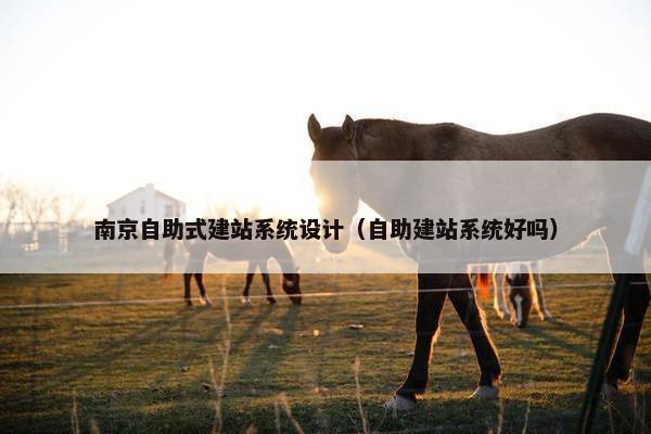 南京自助式建站系统设计（自助建站系统好吗）