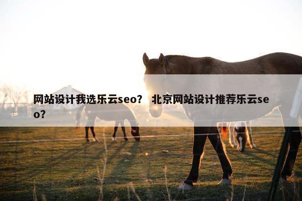 网站设计我选乐云seo？ 北京网站设计推荐乐云seo？