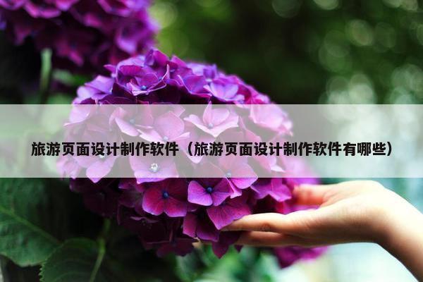旅游页面设计制作软件（旅游页面设计制作软件有哪些）