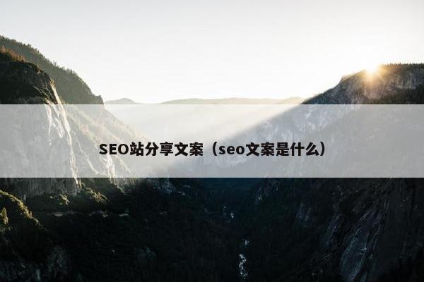 SEO站分享文案（seo文案是什么）