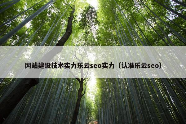 网站建设技术实力乐云seo实力（认准乐云seo）