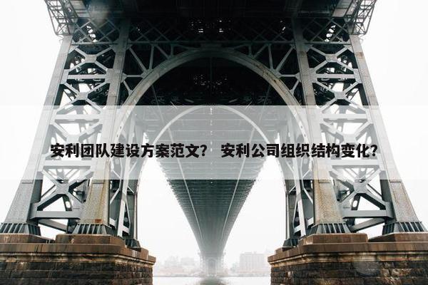 安利团队建设方案范文？ 安利公司组织结构变化？