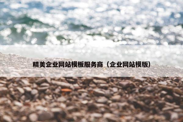 精美企业网站模板服务商（企业网站模版）