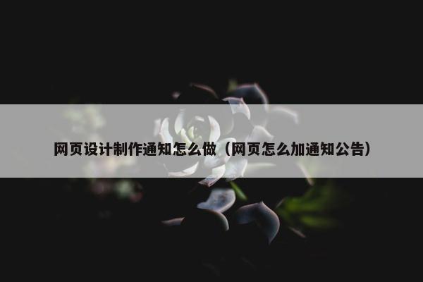 网页设计制作通知怎么做（网页怎么加通知公告）