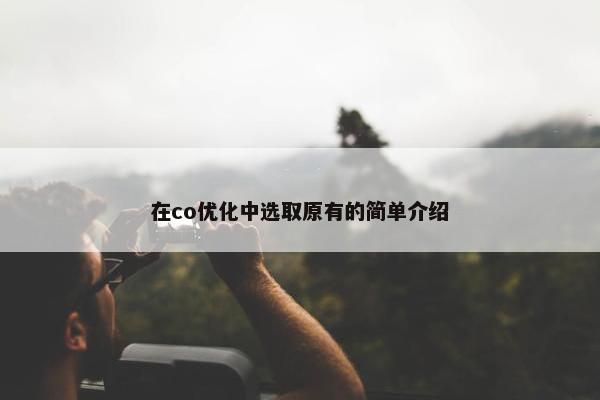 在co优化中选取原有的简单介绍
