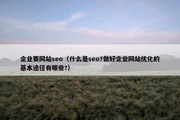 企业要网站seo（什么是seo?做好企业网站优化的基本途径有哪些?）