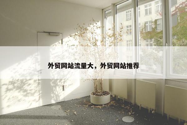 外贸网站流量大，外贸网站推荐