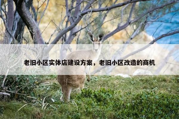 老旧小区实体店建设方案，老旧小区改造的商机