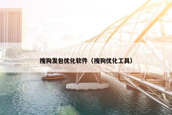 搜狗发包优化软件（搜狗优化工具）