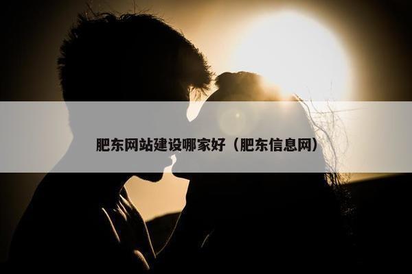 肥东网站建设哪家好（肥东信息网）