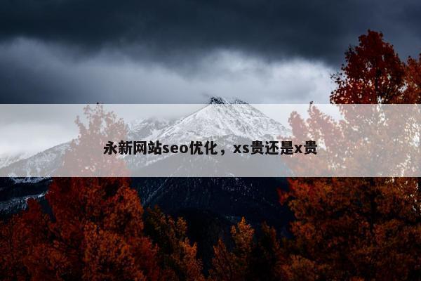 永新网站seo优化，xs贵还是x贵