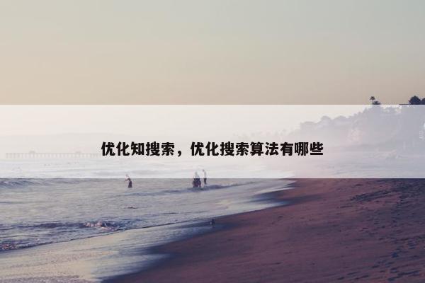 优化知搜索，优化搜索算法有哪些