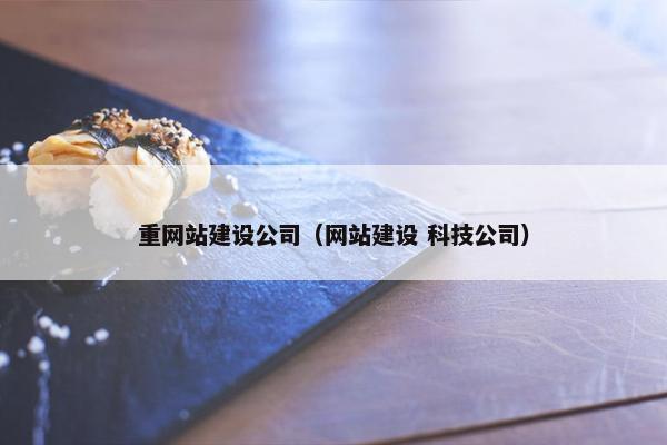 重网站建设公司（网站建设 科技公司）