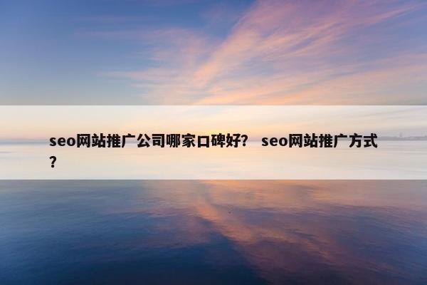 seo网站推广公司哪家口碑好？ seo网站推广方式？