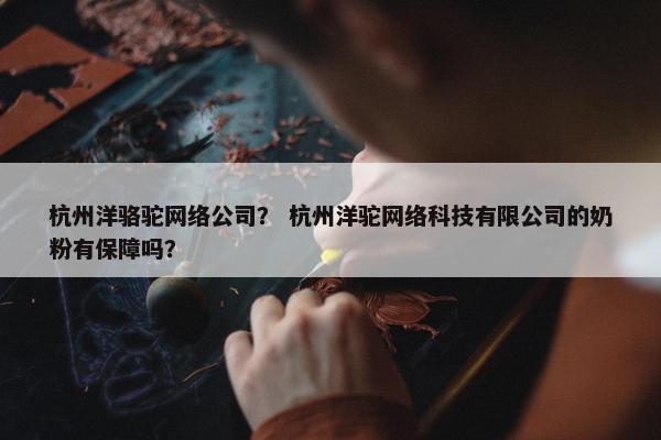 杭州洋骆驼网络公司？ 杭州洋驼网络科技有限公司的奶粉有保障吗？