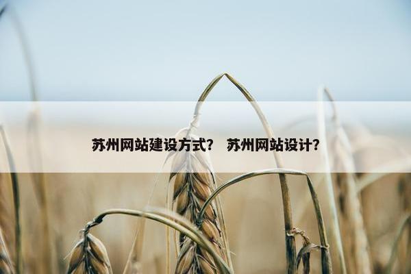 苏州网站建设方式？ 苏州网站设计？