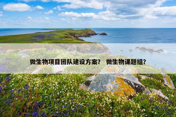 微生物项目团队建设方案？ 微生物课题组？