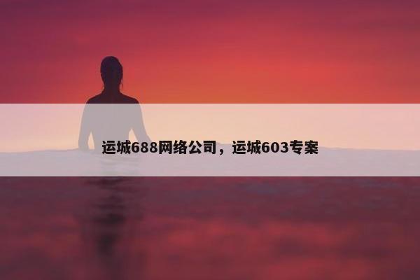 运城688网络公司，运城603专案