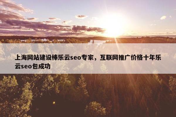 上海网站建设棒乐云seo专家，互联网推广价格十年乐云seo包成功