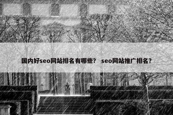 国内好seo网站排名有哪些？ seo网站推广排名？