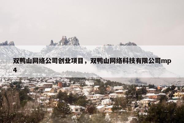 双鸭山网络公司创业项目，双鸭山网络科技有限公司mp4