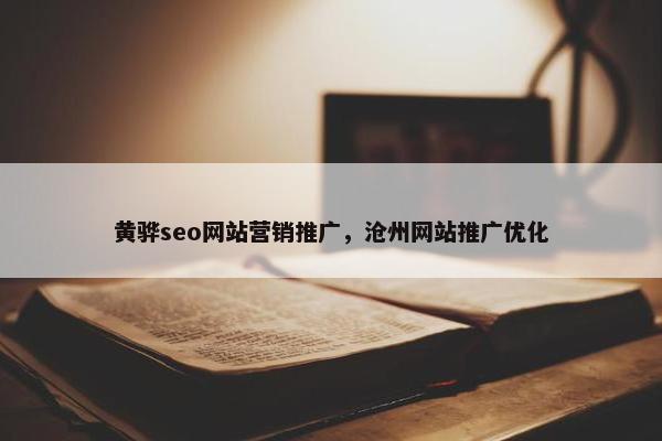 黄骅seo网站营销推广，沧州网站推广优化