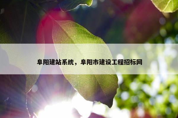 阜阳建站系统，阜阳市建设工程招标网
