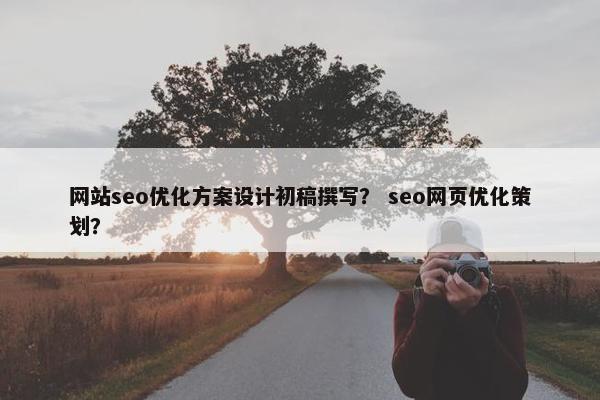 网站seo优化方案设计初稿撰写？ seo网页优化策划？