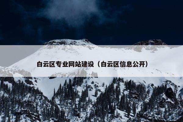 白云区专业网站建设（白云区信息公开）