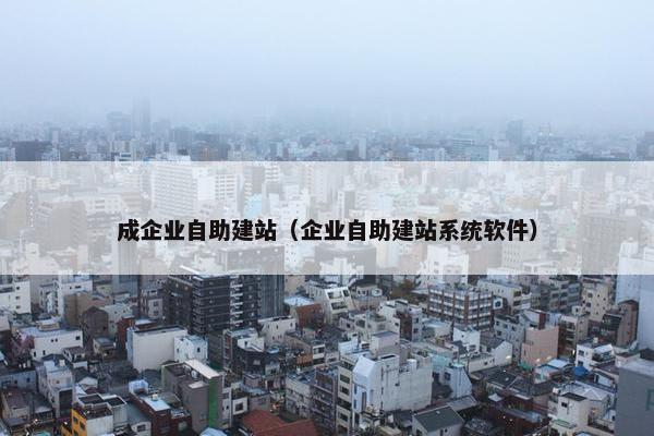 成企业自助建站（企业自助建站系统软件）