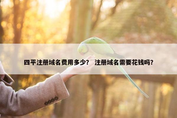 四平注册域名费用多少？ 注册域名需要花钱吗？