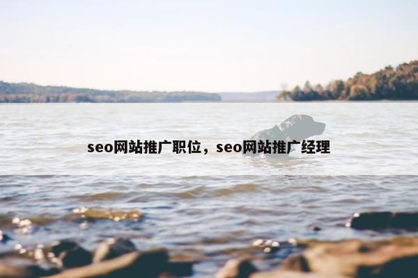 seo网站推广职位，seo网站推广经理