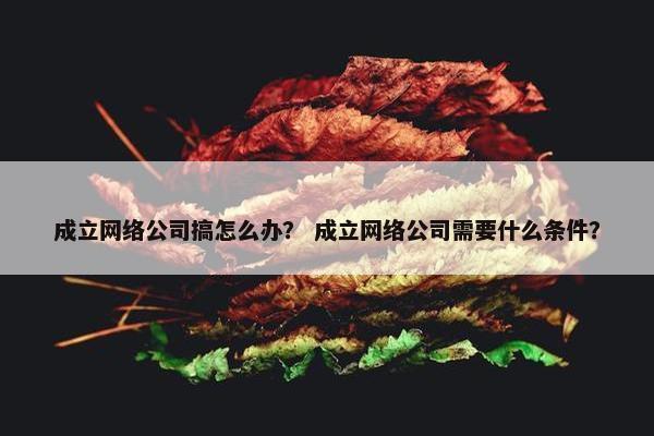 成立网络公司搞怎么办？ 成立网络公司需要什么条件？