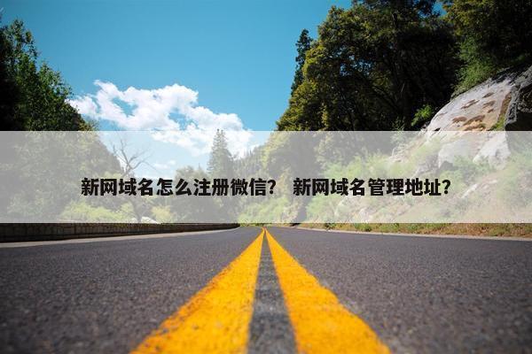 新网域名怎么注册微信？ 新网域名管理地址？