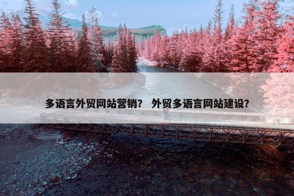 多语言外贸网站营销？ 外贸多语言网站建设？