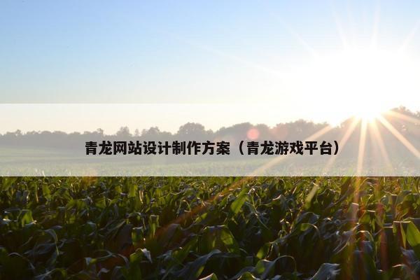青龙网站设计制作方案（青龙游戏平台）
