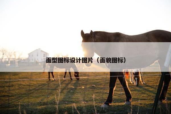 面型图标设计图片（面貌图标）