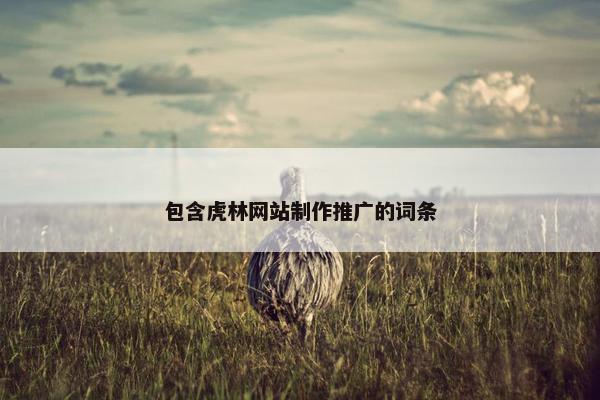 包含虎林网站制作推广的词条