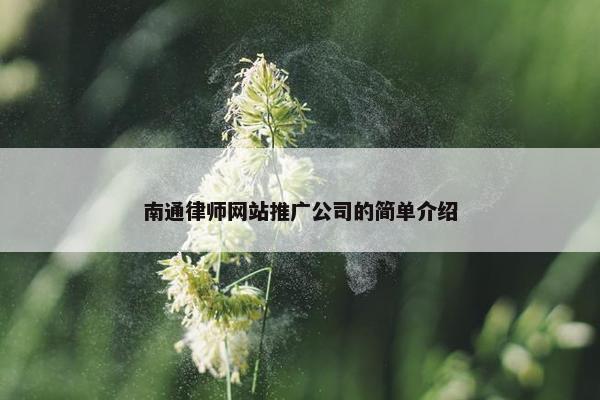 南通律师网站推广公司的简单介绍