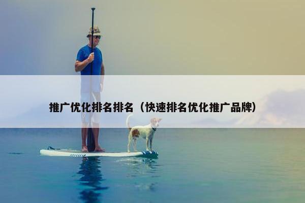 推广优化排名排名（快速排名优化推广品牌）