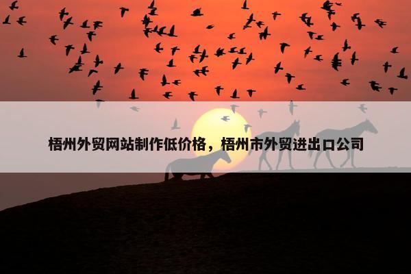 梧州外贸网站制作低价格，梧州市外贸进出口公司