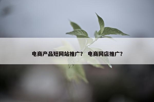 电商产品短网站推广？ 电商网店推广？